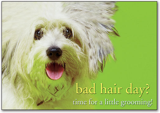 Bad Hair Day? Grooming Postcard