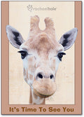 Time to See You Postcard