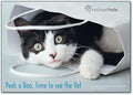 Peek a Boo Time Postcard