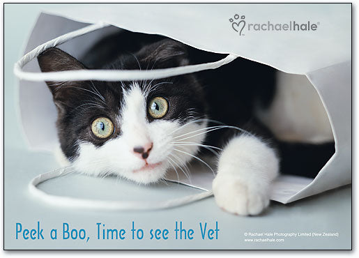 Peek a Boo Time Postcard