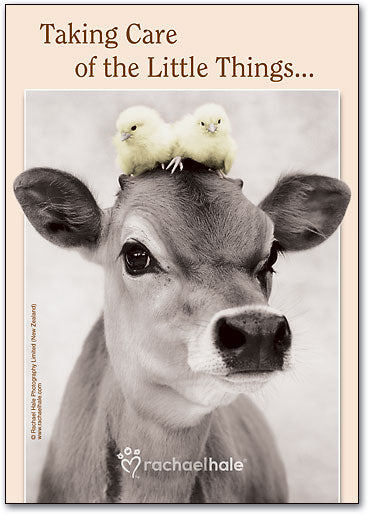 The Little Things Postcard