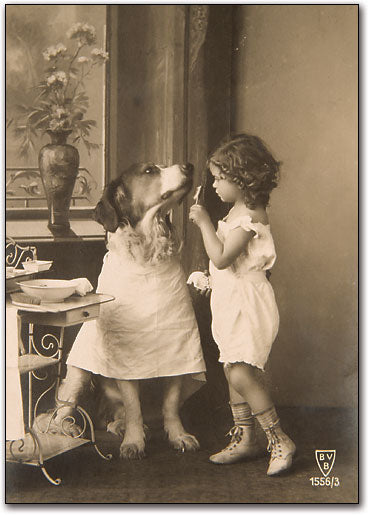 Brush Doggy Teeth Postcard
