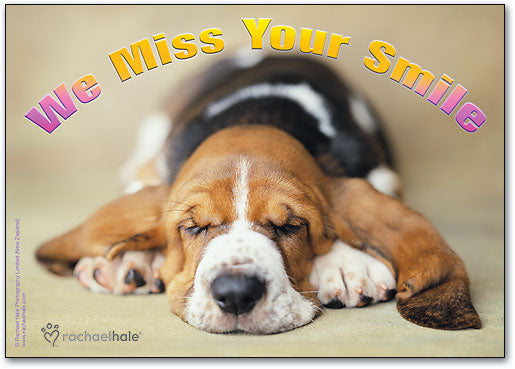 Sleepy Dog Smile Postcard