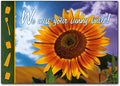 Sunny Smile Postcard