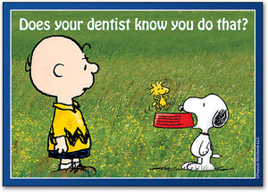 Snoopy Does Postcard