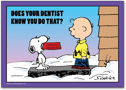 Your Dentist Knows Standard Postcard