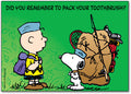 Pack Your Brush Standard Postcard