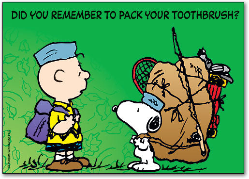 Pack Your Brush Standard Postcard