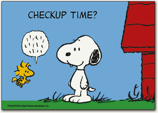 Snoopy/Woodstock & Kennel Postcard