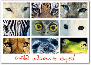 Wild About Eyes Postcard