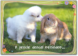 A Gentle Dental Reminder Postcard