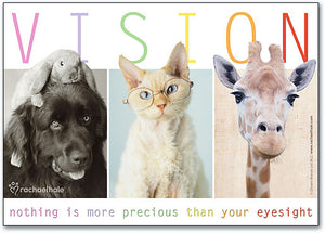 Precious Vision Pets Postcard