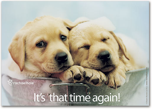 Time Again Puppies Postcard