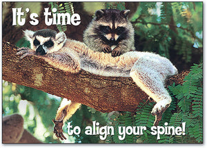 Racoon and Lemur Postcard