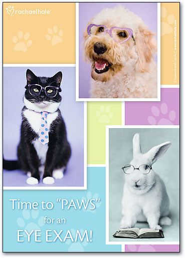 Paws for Eye Exam Postcard