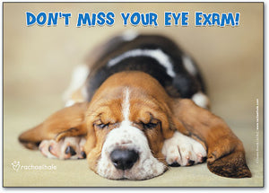 Basset Eye Care Postcard