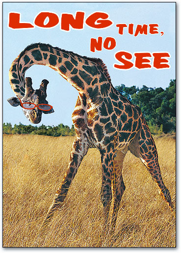 Long Time Giraffe Postcard