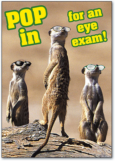 Glasses Meerkats Postcard
