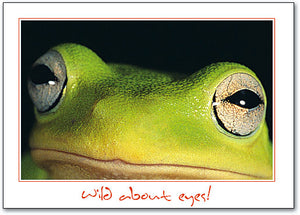 Frog Eyes Postcard
