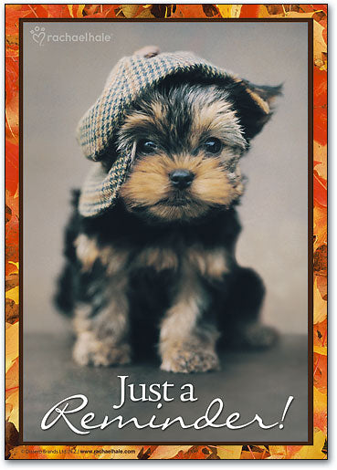 Pup Hat Postcard