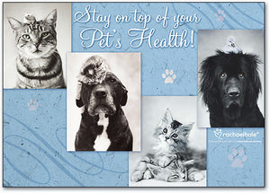 Stay On Top Of Pets Deluxe Postcard