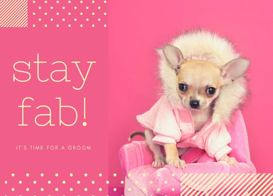Stay Fab Postcard