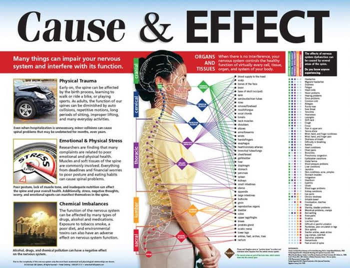 Cause & Effect Posters