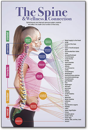 Wellness Connection Poster