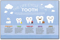 Smile Evolution Poster