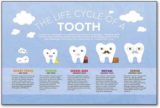 Smile Evolution Poster