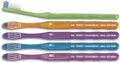 Spring Fling Angle Adult Toothbrush