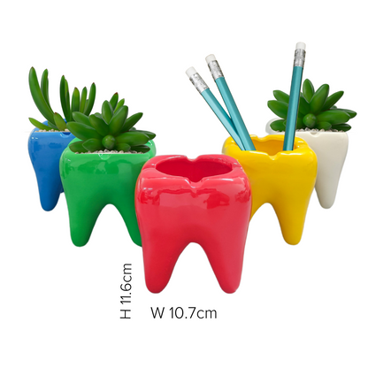 Ceramic Tooth Shaped Holders