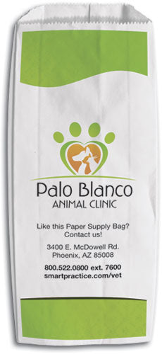 Custom 1-sided Full Colour Paper Supply Bag