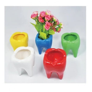 Ceramic Tooth Shaped Holders